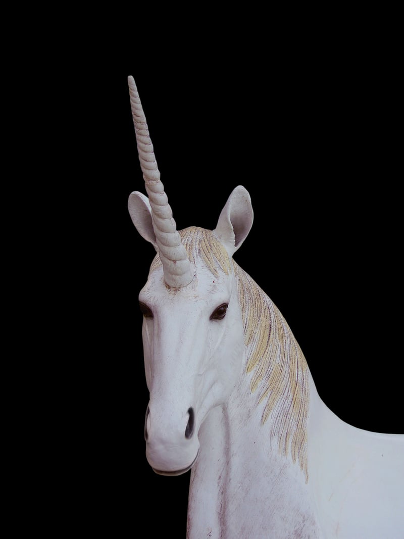 unicorn image